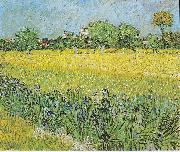 View of Arles with irises in the foreground